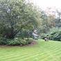 Gartenpflege